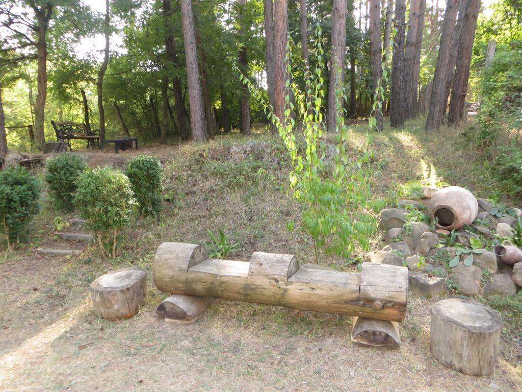 Guest House Kamea 시그나기 외부 사진